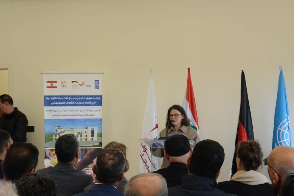 صورة المقالة