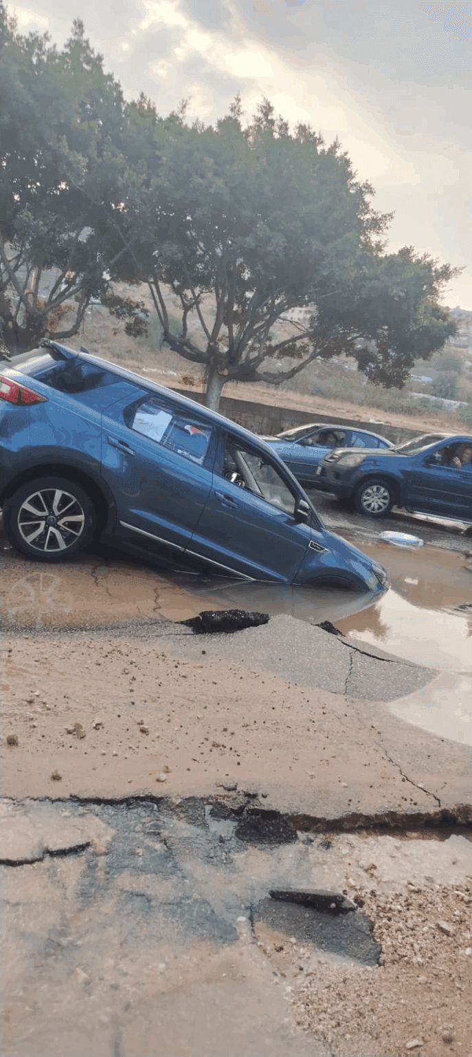 صورة المقالة