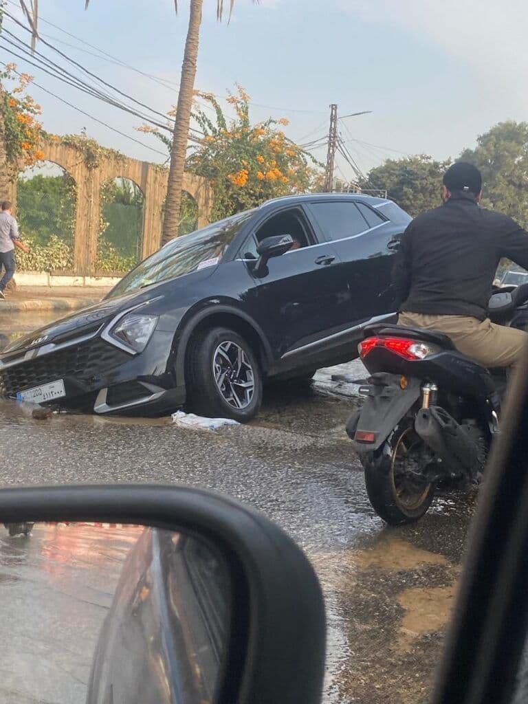 صورة المقالة