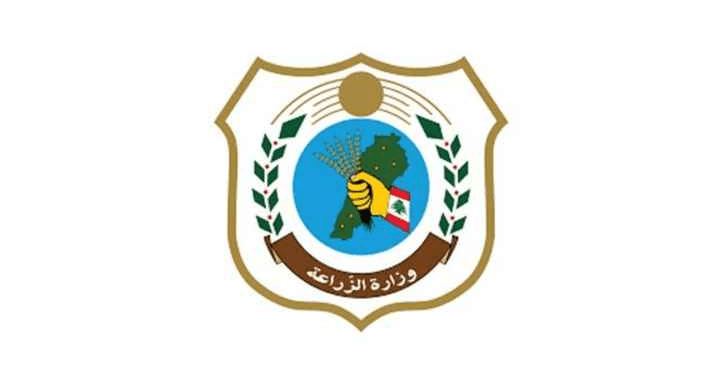 وزارة الزراعة تطلق برنامج توزيع غراس الزيتون مجاناً ضمن خطة دعم وتنمية الزراعة الريفية