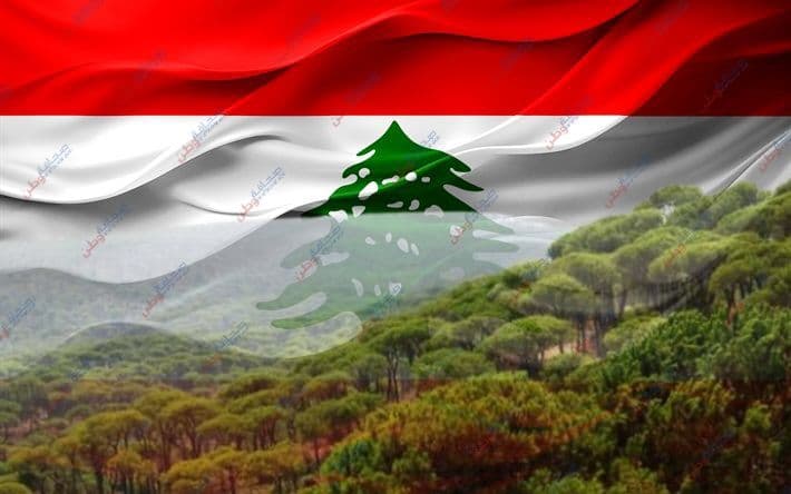 اليوم الوطني للبيئة: مناسبة لتجديد الالتزام بحماية ما تبقّى من وطننا الأخضر