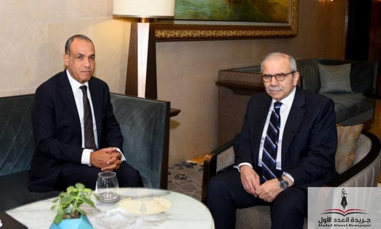 اتصال مصري ـ لبناني يؤكد رفض المساس بسيادة لبنان ويدعو إلى التهدئة في الجنوب