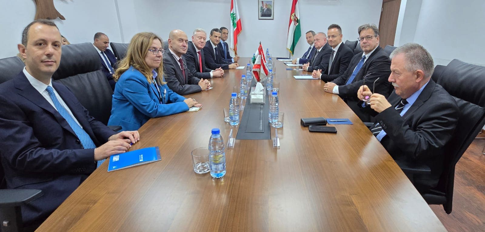 صورة المقالة