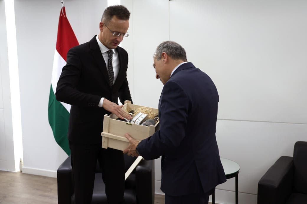 صورة المقالة