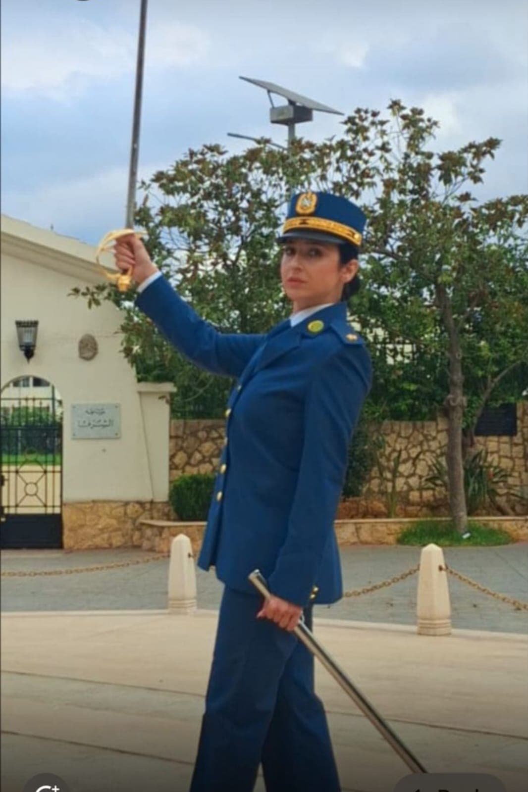 صورة المقالة