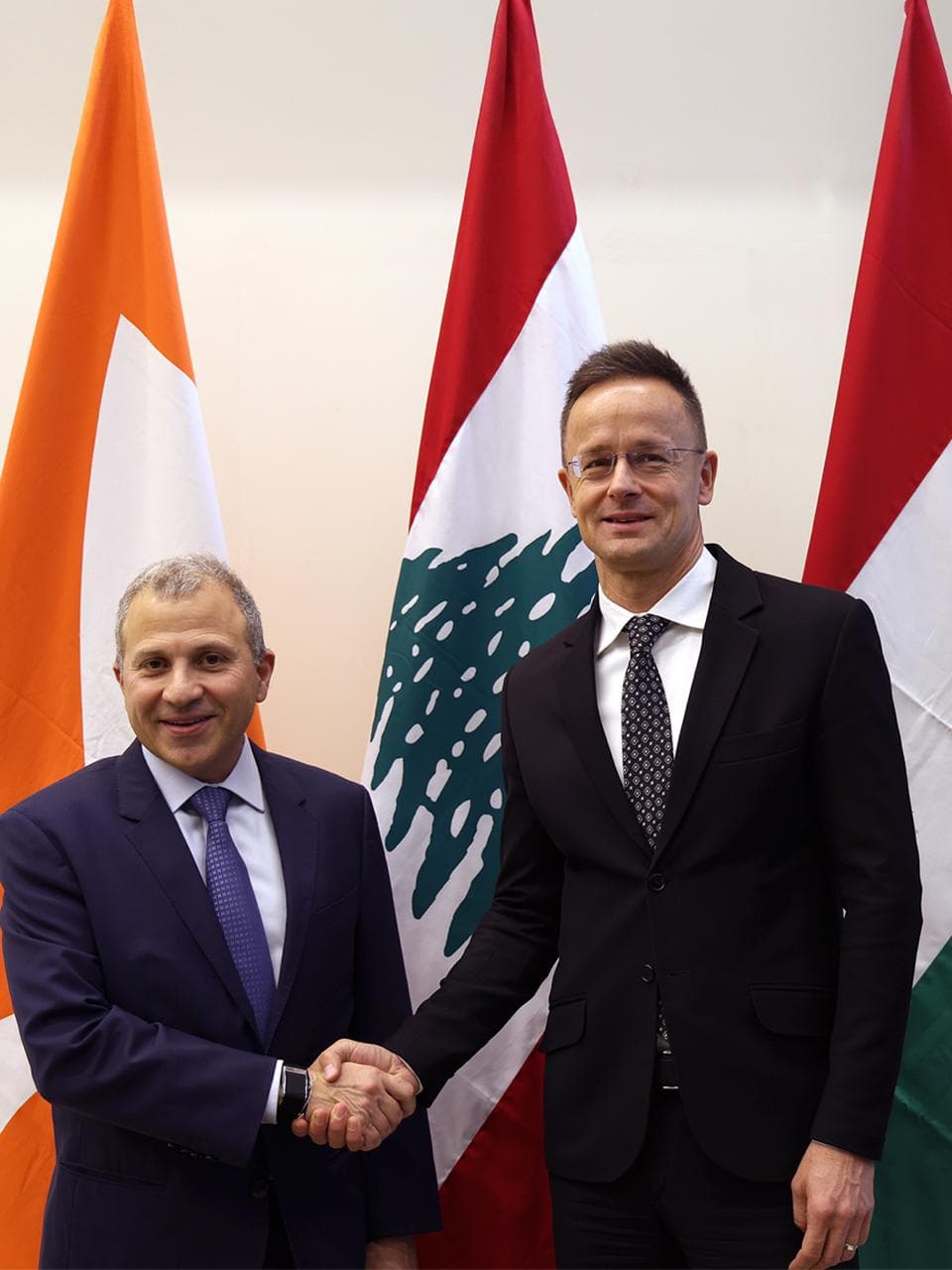 صورة المقالة