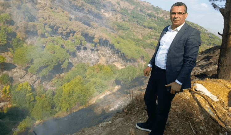 صورة المقالة